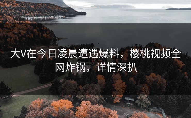 大V在今日凌晨遭遇爆料，樱桃视频全网炸锅，详情深扒