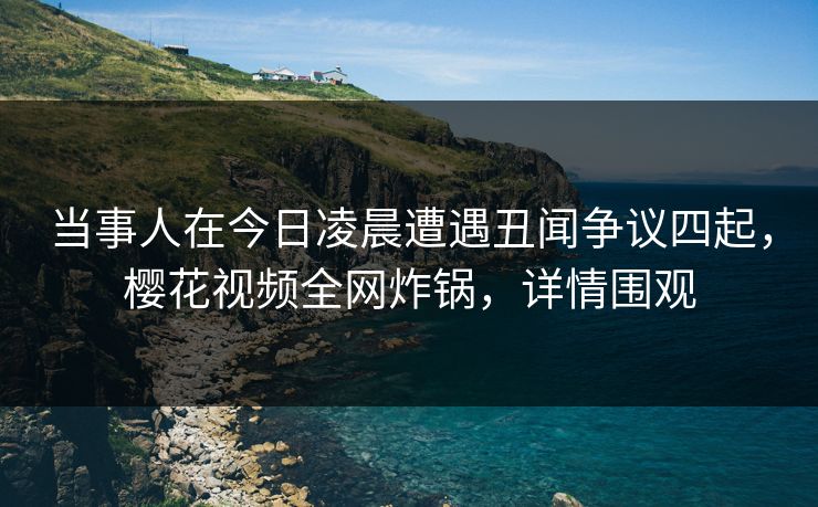 当事人在今日凌晨遭遇丑闻争议四起，樱花视频全网炸锅，详情围观