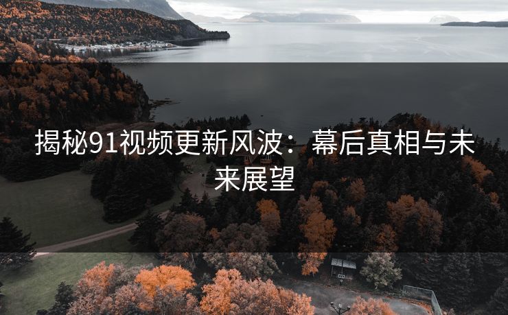 揭秘91视频更新风波：幕后真相与未来展望
